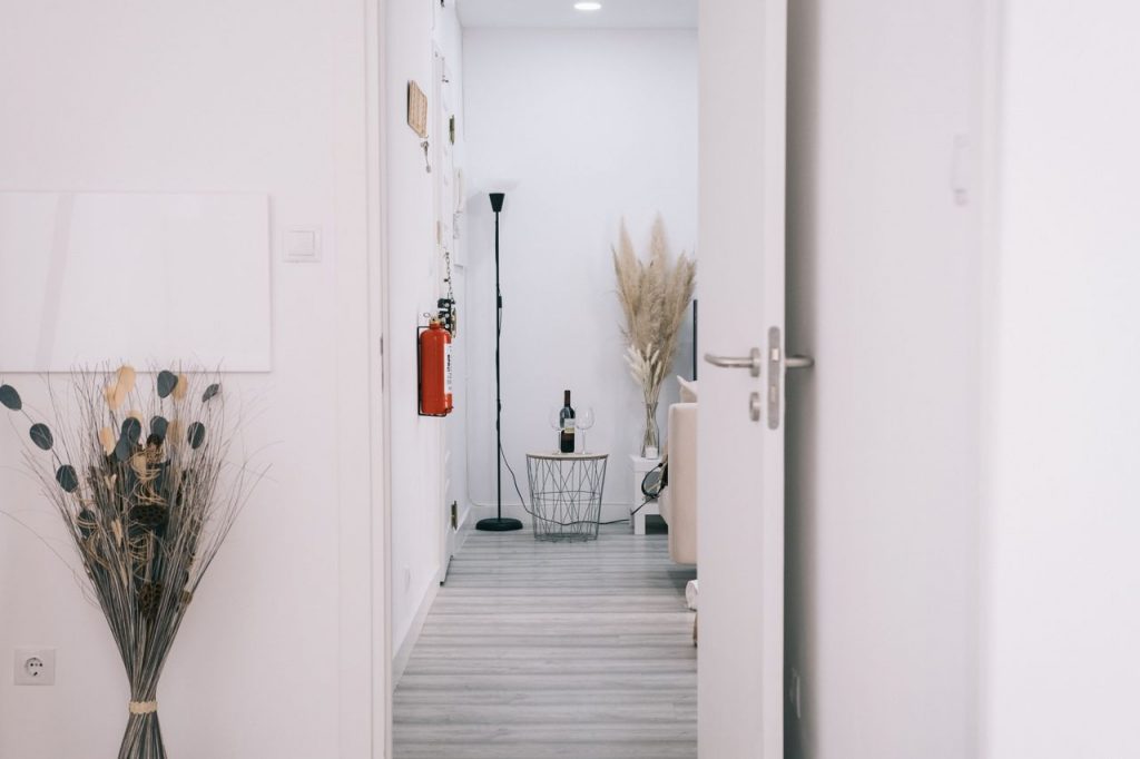 A minimalist interior view featuring an open door, white walls, and decor elements.